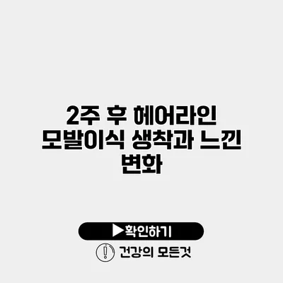 2주 후 헤어라인 모발이식 생착과 느낀 변화