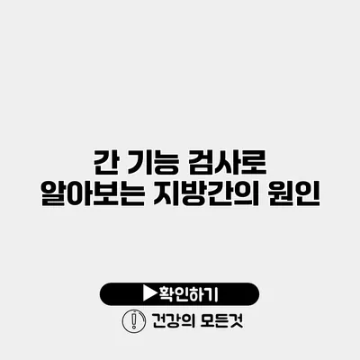 간 기능 검사로 알아보는 지방간의 원인