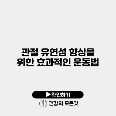 관절 유연성 향상을 위한 효과적인 운동법