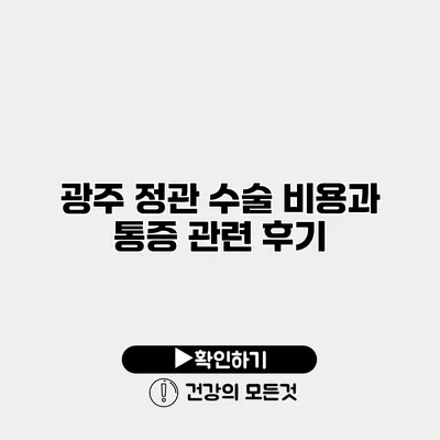 광주 정관 수술 비용과 통증 관련 후기