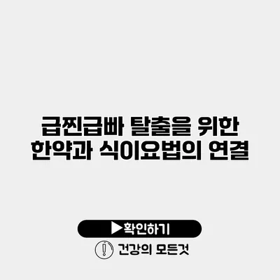 급찐급빠 탈출을 위한 한약과 식이요법의 연결