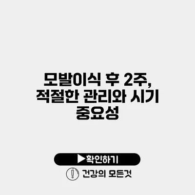 모발이식 후 2주, 적절한 관리와 시기 중요성
