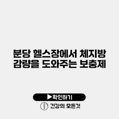 분당 헬스장에서 체지방 감량을 도와주는 보충제