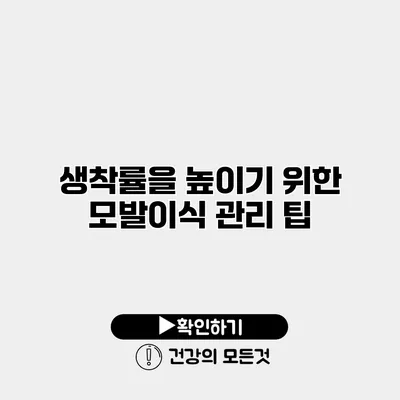 생착률을 높이기 위한 모발이식 관리 팁