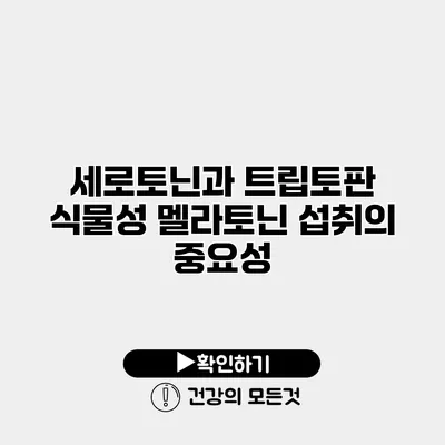 세로토닌과 트립토판 식물성 멜라토닌 섭취의 중요성