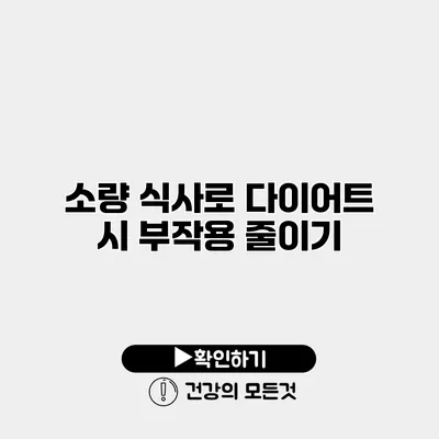 소량 식사로 다이어트 시 부작용 줄이기