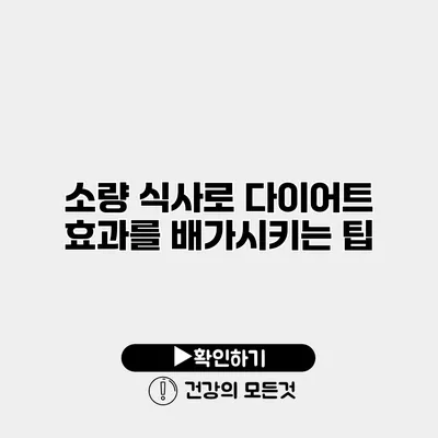 소량 식사로 다이어트 효과를 배가시키는 팁