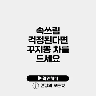 속쓰림 걱정된다면 꾸지뽕 차를 드세요