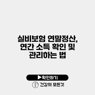 실비보험 연말정산, 연간 소득 확인 및 관리하는 법
