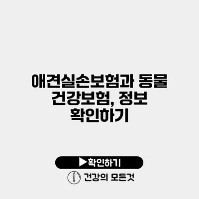 애견실손보험과 동물 건강보험, 정보 확인하기
