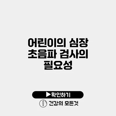 어린이의 심장 초음파 검사의 필요성