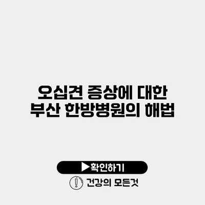 오십견 증상에 대한 부산 한방병원의 해법