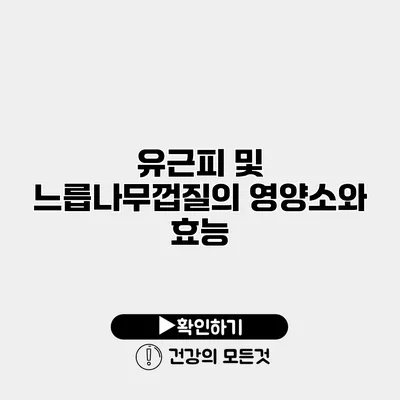 유근피 및 느릅나무껍질의 영양소와 효능