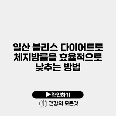 일산 블리스 다이어트로 체지방률을 효율적으로 낮추는 방법