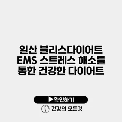 일산 블리스다이어트 EMS 스트레스 해소를 통한 건강한 다이어트