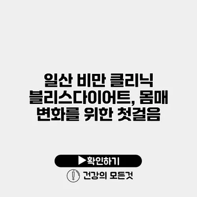 일산 비만 클리닉 블리스다이어트, 몸매 변화를 위한 첫걸음