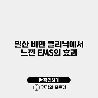 일산 비만 클리닉에서 느낀 EMS의 효과