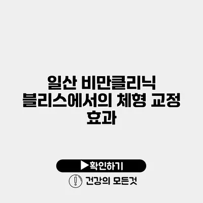 일산 비만클리닉 블리스에서의 체형 교정 효과