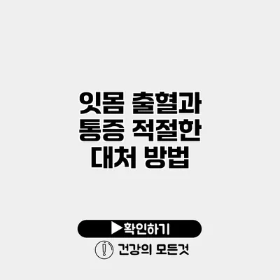 잇몸 출혈과 통증 적절한 대처 방법