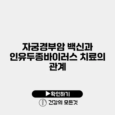 자궁경부암 백신과 인유두종바이러스 치료의 관계