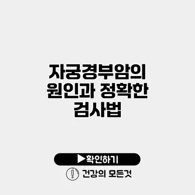 자궁경부암의 원인과 정확한 검사법