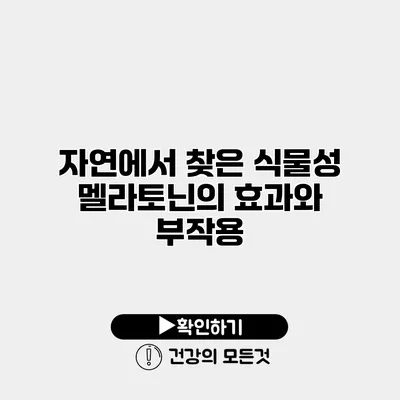 자연에서 찾은 식물성 멜라토닌의 효과와 부작용