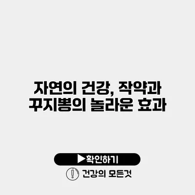 자연의 건강, 작약과 꾸지뽕의 놀라운 효과