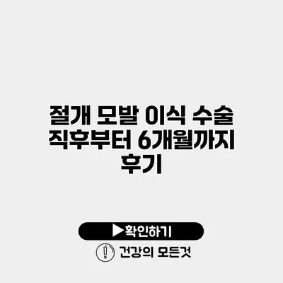 절개 모발 이식 수술 직후부터 6개월까지 후기