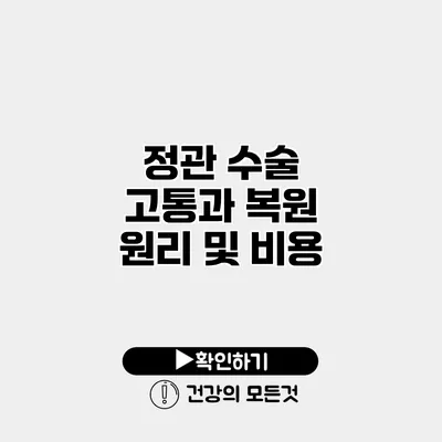 정관 수술 고통과 복원 원리 및 비용