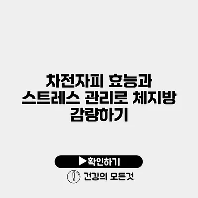 차전자피 효능과 스트레스 관리로 체지방 감량하기