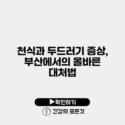 천식과 두드러기 증상, 부산에서의 올바른 대처법