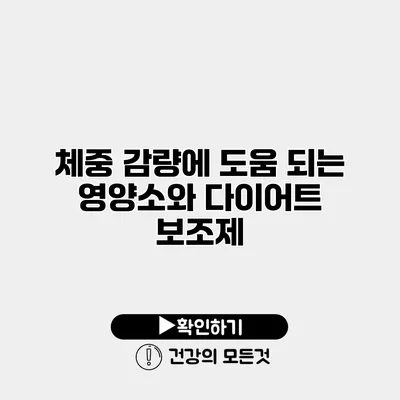 체중 감량에 도움 되는 영양소와 다이어트 보조제