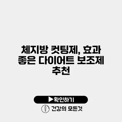 체지방 컷팅제, 효과 좋은 다이어트 보조제 추천