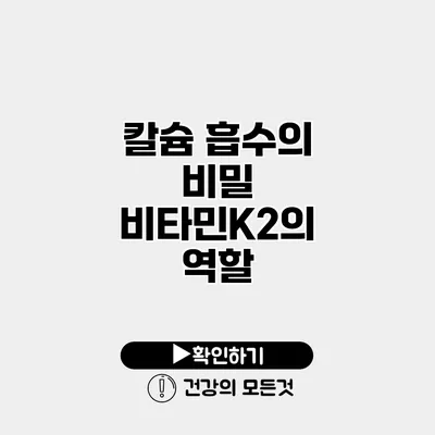 칼슘 흡수의 비밀 비타민K2의 역할