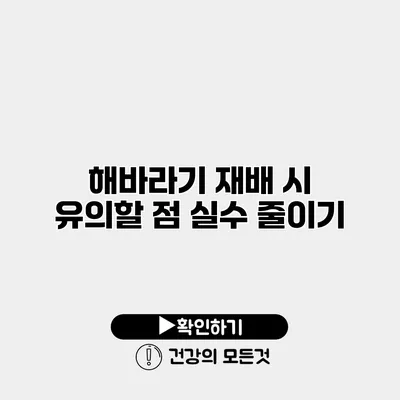 해바라기 재배 시 유의할 점 실수 줄이기