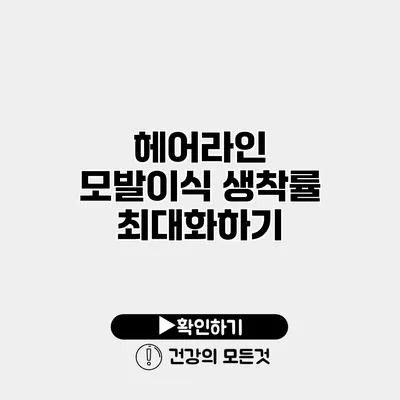헤어라인 모발이식 생착률 최대화하기