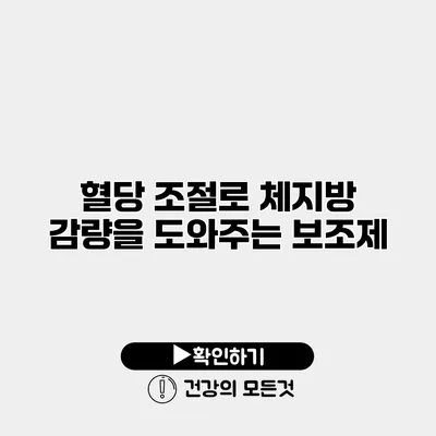 혈당 조절로 체지방 감량을 도와주는 보조제