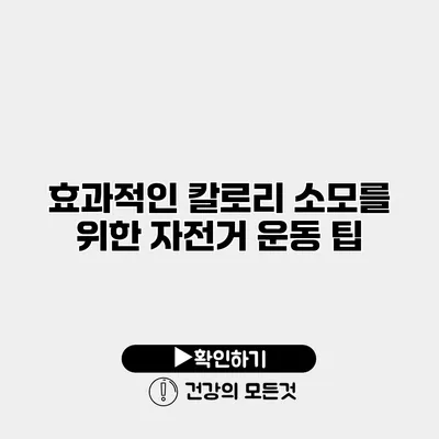 효과적인 칼로리 소모를 위한 자전거 운동 팁