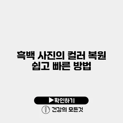 흑백 사진의 컬러 복원 쉽고 빠른 방법
