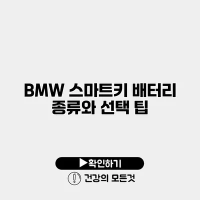 BMW 스마트키 배터리 종류와 선택 팁
