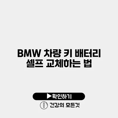 BMW 차량 키 배터리 셀프 교체하는 법
