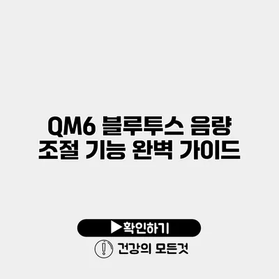 QM6 블루투스 음량 조절 기능 완벽 가이드