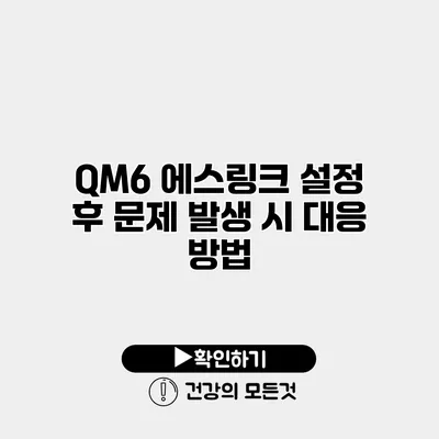 QM6 에스링크 설정 후 문제 발생 시 대응 방법