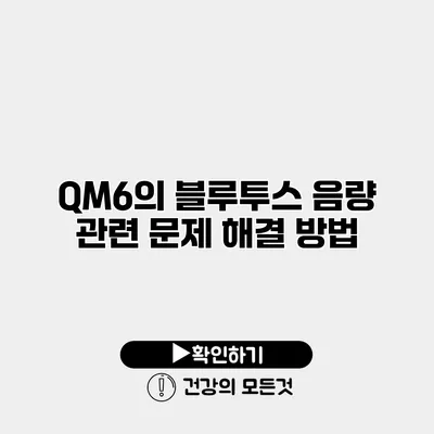 QM6의 블루투스 음량 관련 문제 해결 방법