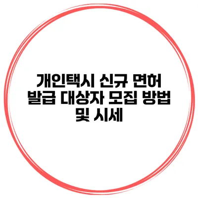 개인택시 신규 면허 발급 대상자 모집 방법 및 시세