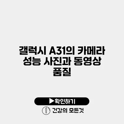 갤럭시 A31의 카메라 성능 사진과 동영상 품질