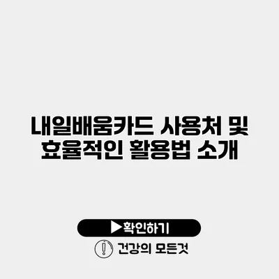 내일배움카드 사용처 및 효율적인 활용법 소개