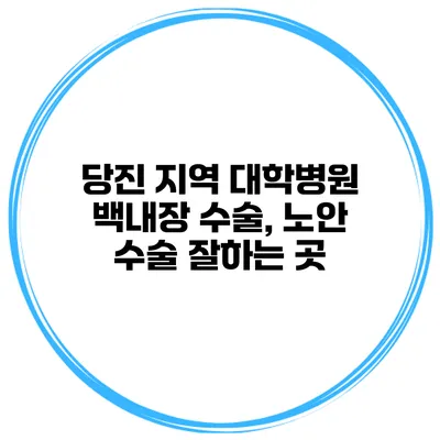 당진 지역 대학병원 백내장 수술, 노안 수술 잘하는 곳