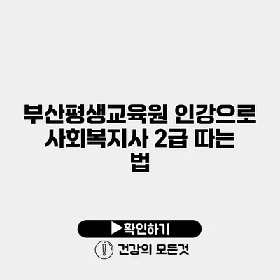 부산평생교육원 인강으로 사회복지사 2급 따는 법