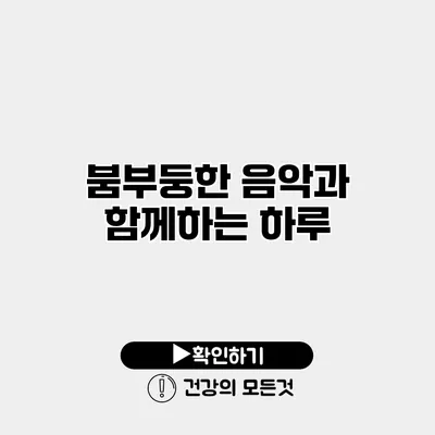 붐부둥한 음악과 함께하는 하루